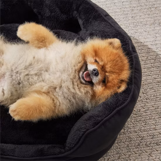 Promotion Modern Cave Round Capsule Acrylic Clear Round Pet Dog Cat Bed for Indoor Cats and Dogs